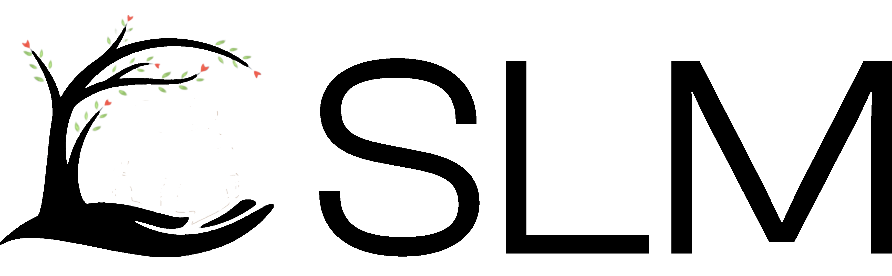 SLM Logo Black